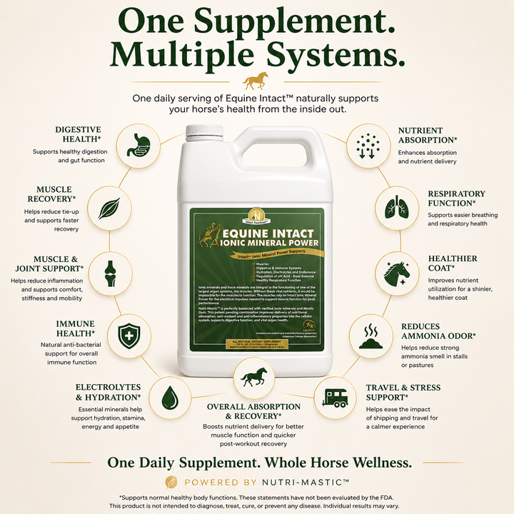 Equine Intact™