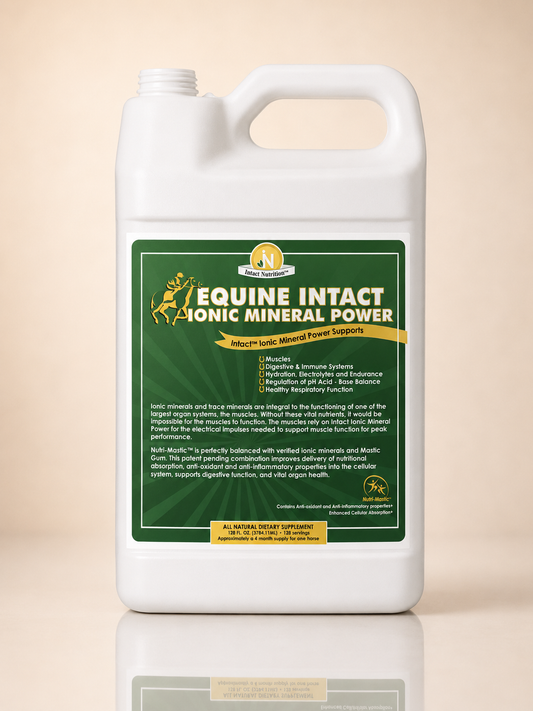 Equine Intact™