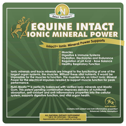 Equine Intact™ ingredient panel — supplement facts